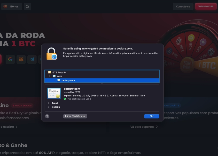 Przykład certyfikatu bezpieczeństwa SSL 256-bitowego kasyna BetFury.